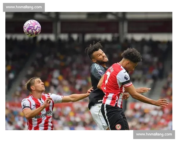 布伦特福德瞄准瓦塔拉，维萨转会纽卡进入关键阶段