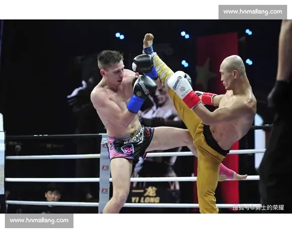 武林风巅峰之战播求对决一龙荣耀与争议交织的世纪较量全民关注之夜