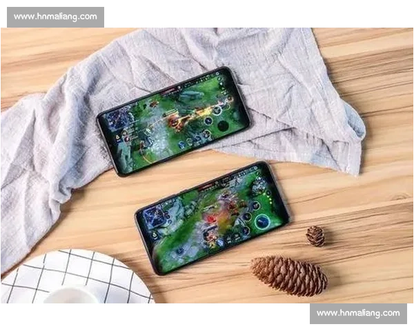 樱花vs大阪巅峰对决城市荣耀与赛场激情全面碰撞引爆关西足球之夜