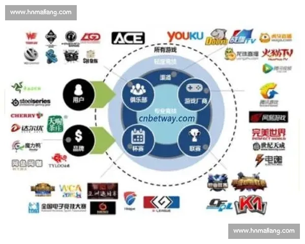 波球vs多维竞技对抗解析与未来趋势深度观察全面策略价值评估